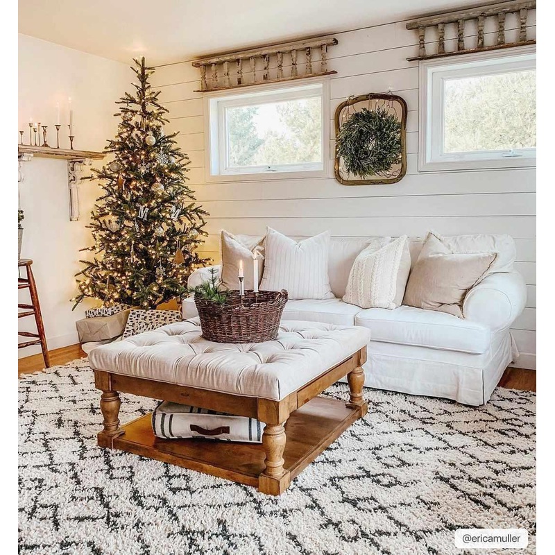 Pahala Area Rug
